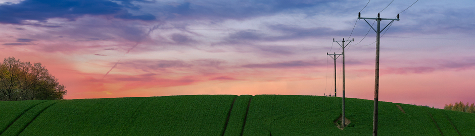 green field with electric lines